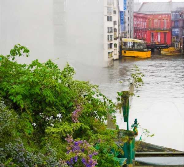 诗意春雨，细雨绵绵的成语描绘,细雨绵绵，诗意盎然—春雨的成语词语描绘,成语,第1张